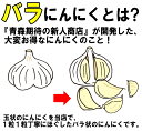 最安挑戦!!あす楽★青森にんにく バラ 1kg 皮剥けなし【黒にんにく作りに人気 正品】青森 にんにく バラ 1kg【にんにく 国産】【青森県産 ニンニク】【バラ 1kg】青森『厳選』バラにんにく 1キロ1kgネット詰め【税込1960円】 3