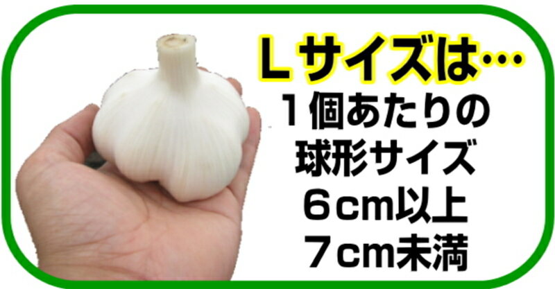 最安挑戦!!あす楽 にんにく 青森 1kg B品 Lサイズ 根すり済み【5キロ以上送料無料】国産 ブランドにんにく 大玉 B品Lサイズ【にんにく Lサイズ 1kg】青森『厳選』にんにく【にんにく 青森】中国産と比べて2980円 3