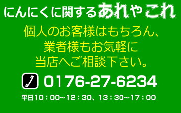 令和元年度産 あす楽【送料無料】青森 にんにく 福地ホワイト六片種10kg国産トップブランド青森『厳選』にんにく10キロ Mサイズ以上大玉混合 M〜2Lにんにく 国産 10kg【訳あり】にんにく 青森県産 10キロ【税込14800円】中国産と比べて