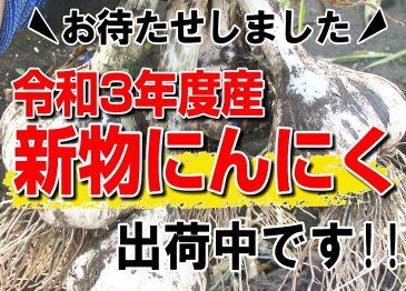 最速!新物★あす楽【5キロ以上送料無料】にんにく 国産 1kg 青森にんにく Mサイズ以上大玉混合1キロ 訳あり国産トップブランド青森『厳選』にんにく1kg M以上大玉混合 M〜2L【にんにく 青森】福地ホワイト六片種 中国産と比べて2030円