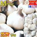 あす楽 にんにく 青森 1kg B品 Mサイズ 根すり済み国産 ブランドにんにく B品 Mサイズ 1kg青森『厳選』にんにく福地ホワイト六片 中国産と比べて1980円