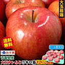 あす楽 りんご 訳あり 5kg箱 送料無料 大玉厳選【クール...