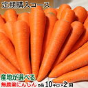 単品より安い【定期購入】にんじん 無農薬 B品10kg×2回コース【送料無料】産地が選べる無農薬にんじん 10キロ×2回【計20キロ】【ニンジン無農薬】【人参 ...