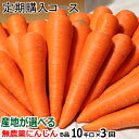 単品より安い【定期購入】にんじん 無農薬 B品10kg×3回コース【送料無料】産地が選べる無農薬にんじん 10キロ×3回【計30キロ】【ニンジン 無農薬】【人参...