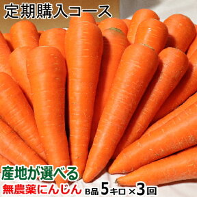 単品より安い【定期購入】にんじん 無農薬 B品5kg×3回コース【クール便対応】産地が選べる無農薬にんじん 5キロ×3回【計15キロ】【ニンジン 無農薬】【人参 ジュース用】【有機JAS認証 人参】【訳あり 洗い人参】