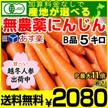 越冬人参出荷中！あす楽【送料無料】産地が選べる無農薬にんじん5キロ【無農薬・無化学肥料】にんじん 無農薬 5kg［岩手・鹿児島］から出荷中!!にんじんジュースに最適!無農薬にんじん5キロ本物の無農薬人参は当店で！