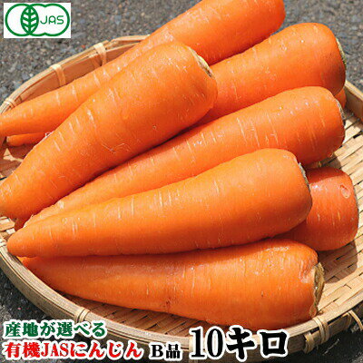 セール!!【あす楽】産地が選べる 有機 にんじん 10kg【送料無料】無農薬にんじん 10キロ有機JAS認証 ジュース用 にんじん 10kg【無農薬・無化学肥料栽培】にんじん 有機 10kg酵素 ジュース用29…