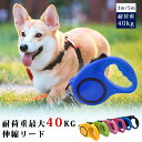 犬 リード 3メートル テープ型伸縮リード ロングリード 太い紐 怪我防止 巻き取り式 伸縮リード ドッグリード 犬用リード 長さ5M 3M 自動巻き 荷重40kg 小型犬 中型犬 大型犬 3ヶ月保証 100-03