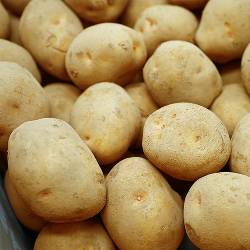 じゃがいも 秀品 M～ Lサイズ メークイーン とうや 男爵 品種任せ 茨城 長崎 鹿児島 北海道 千葉 国産 野菜 ジャガイモ 馬鈴薯 新じゃ..