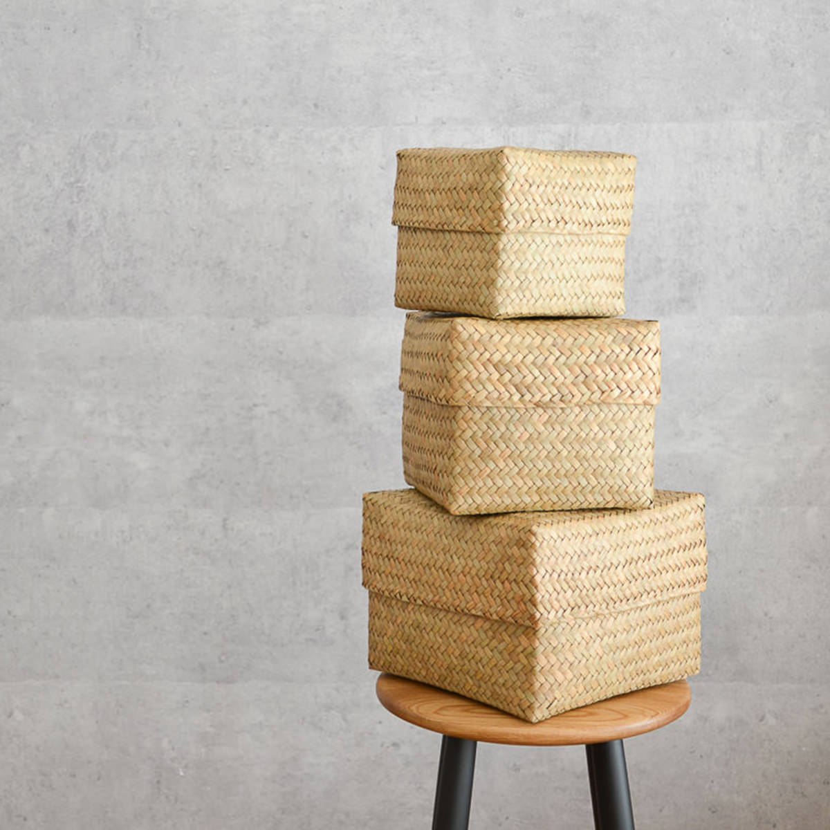 楽天市場】水草 かご ふた付きの通販