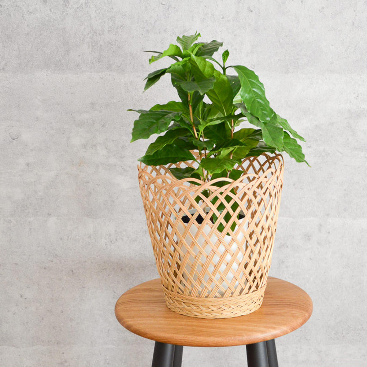 筒かご ニッパヤシ 透かし編み 高台付き 軽量 手編み 天然素材 くずかごや鉢カバーに タイ製