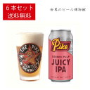 輸入ビールギフトセット アメリカビール 送料無料 パイク コズミックパルプ【Pike Cosmic Pulp】 355ml×6本 送料無料 輸入ビール 海外ビール 世界のビール THE PIKE正規輸入品 缶 クラフトビール アメリカンビール Juicy IPA 父の日 母の日 ギフト お祝い 缶ビール