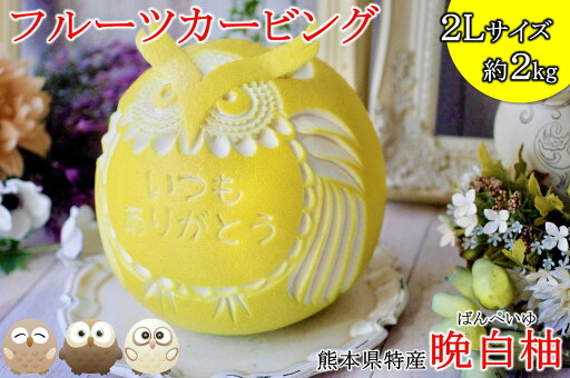 送料無料 くだもの 春 高級 フルーツ 柑橘 晩白柚 果物 男性 女性 お祝い ギフト ホワイトデー 贈答用 贈り物 食品 プレゼント 名入れ カービング スイーツ 結婚祝い メッセージ ふくろう サプライズ 合格祝い 出産祝い 還暦祝い 米寿祝い 誕生日 ラッピング 送料無料 くだもの 春 高級 フルーツ 柑橘 晩白柚 果物 男性 女性 お祝い ギフト ホワイトデー 贈答用 贈り物 食品 プレゼント 名入れ カービング スイーツ 結婚祝い メッセージ ふくろう サプライズ 合格祝い 出産祝い 還暦祝い 米寿祝い 誕生日 ラッピング