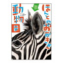 ほんとのおおきさ動物園 おもちゃ 知育玩具 キッズ 子供 3歳 4歳 5歳