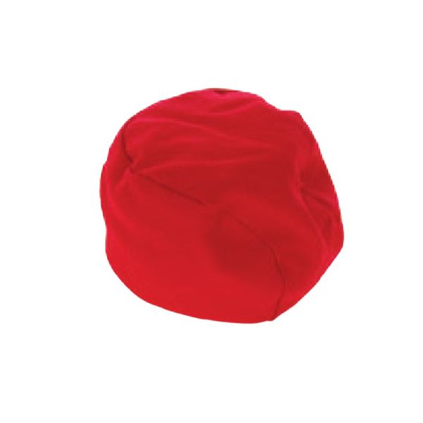 玉入れ用カラー玉ペレット（50個入）赤 スポーツ用品 運動用品