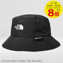 【7/18限定!ポイントでのお支払いもポイントアップ】 ノースフェイス THE NORTH FACE メンズ レディース バケットハット GORE TEX BU...