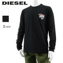 ディーゼル DIESEL メンズ 長袖Tシャツ T DIEGOR LS K3 A11049 0GRAI ホワイト 100 ブラック 9XX ロンT カットソー クルーネック プリント 【プレミアムSTOCK-23AW】