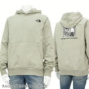 ノースフェイス THE NORTH FACE メンズ パーカー RAGLAN REDBOX HOODIE NF0A8A3T CLAY GREY TNF BLAC...