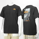 ノースフェイス THE NORTH FACE メンズ Tシャツ SS COLLAGE TEE NF0A89FR TNF BLACK SUMMIT GOLD ブラック オレンジ AGG 半袖 カットソー クルーネック ロゴ プリント REGULAR FIT レギュラーフィット 【2025春夏新作】