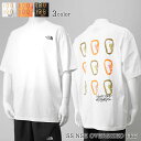 ノースフェイス THE NORTH FACE メンズ Tシャツ SS NSE OVERSIZED TEE NF0A8C3T TNF WHITE ホワイト FN4...
