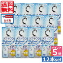 ポイント5倍！【送料無料】　ソフトワンクール 【ロート】500ml×12本、レンズケース付【Cキュー ...