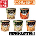 送料無料 クノール スープDELI 5つの味から2種類選べる12個セット スープデリ 味の素 完熟ト ...