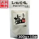 送料無料 ろく助 塩 白塩 あら塩 300g ×10個 東洋食品 ろくすけ ろく助の塩 白