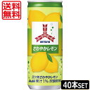 アサヒ 三ツ矢サイダー さわやかレモン 缶250ml 40本 2ケース あす楽 