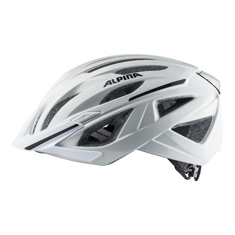 TOPEAK(トピーク) ユニ スーパーツーリスト ファット ディスク キャリア/荷台/サイクル/自転車 CAR16900