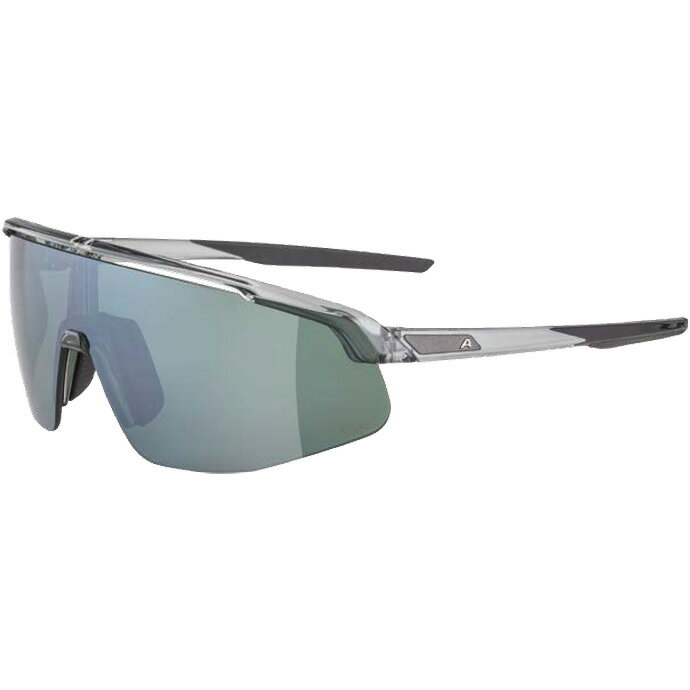 アルピナ TURBO PRO Q-LITE グレイ/トランスパレントグロス サングラス