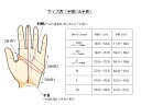 worldcycle-wh:10013276のサンプル画像2