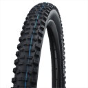 シュワルベ ハンスダンプ Super Trail 27.5×2.60(584) チューブレスレディ ブラック フォルダブル (SW-11601106.01)