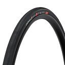 チャレンジ HCL ELITE XPクリンチャー 220TPI 25mm ブラック フォルダブル