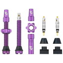 ウルフトゥース チューブレスバルブ ステムキット パープル