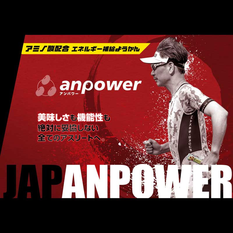 アンパワー 40g×12本入り BOX ようかんの紹介画像3