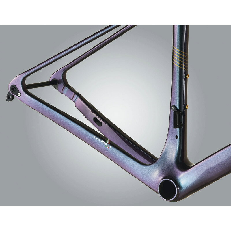 【送料無料】【代引不可】25ジオス BREEZE FRAME & FORK オーロラアメジスト