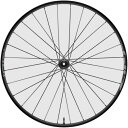ZIPP 101 XPLR Tubeless Disc Standard Graphic 後のみ SRAM/SHIMANO 11段
