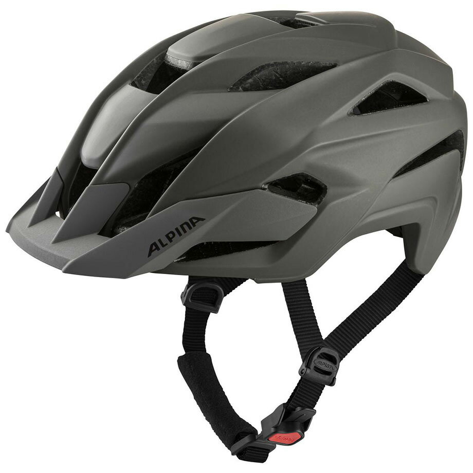 アルピナ KAMLOOP コーヒー/グレイマット ヘルメット