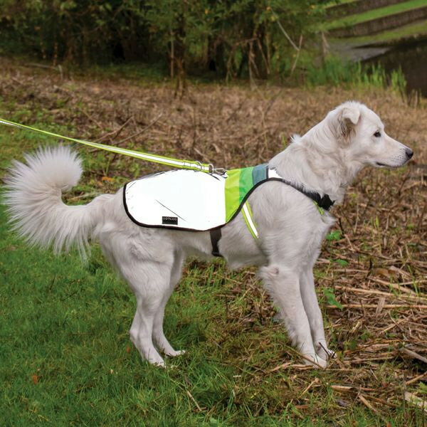 ゴーフロー MOONLIGHT/ムーンライト セーフティベスト 犬用/ドッグウェア