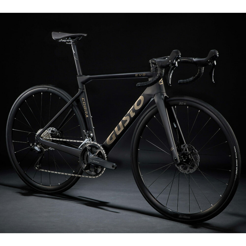 【送料無料】【代引不可】25GUSTO(グスト) COBRA EVO DB ELITE ギャラクシーブラック