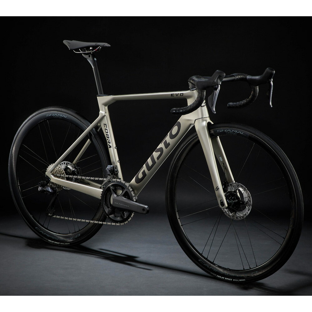 【送料無料】【代引不可】25GUSTO(グスト) COBRA EVO DB PRO LEGEND ギャラクシーグレー