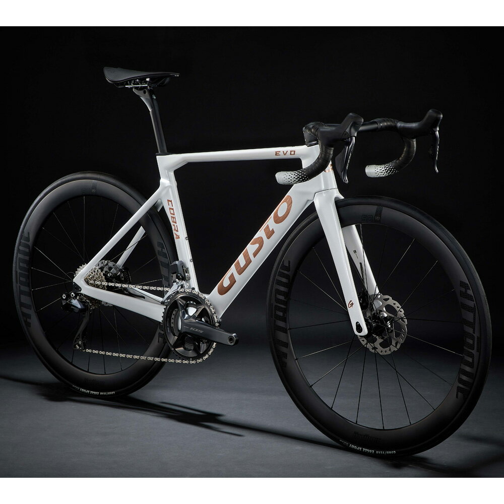 【送料無料】【代引不可】25GUSTO(グスト) COBRA EVO DB SPORT TE ギャラクシーホワイト