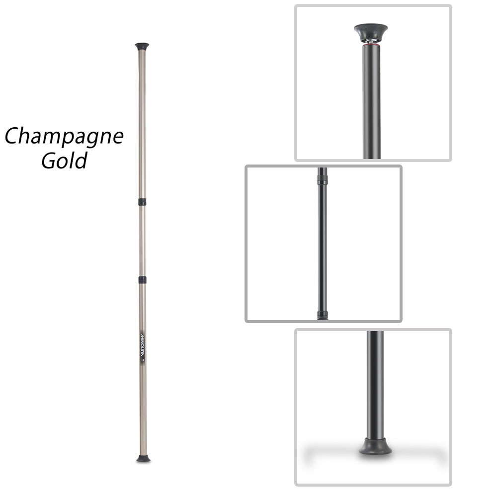 ■ミノウラ バイクタワー 25D 支柱のみ シャンパンゴールド MPI-270-C