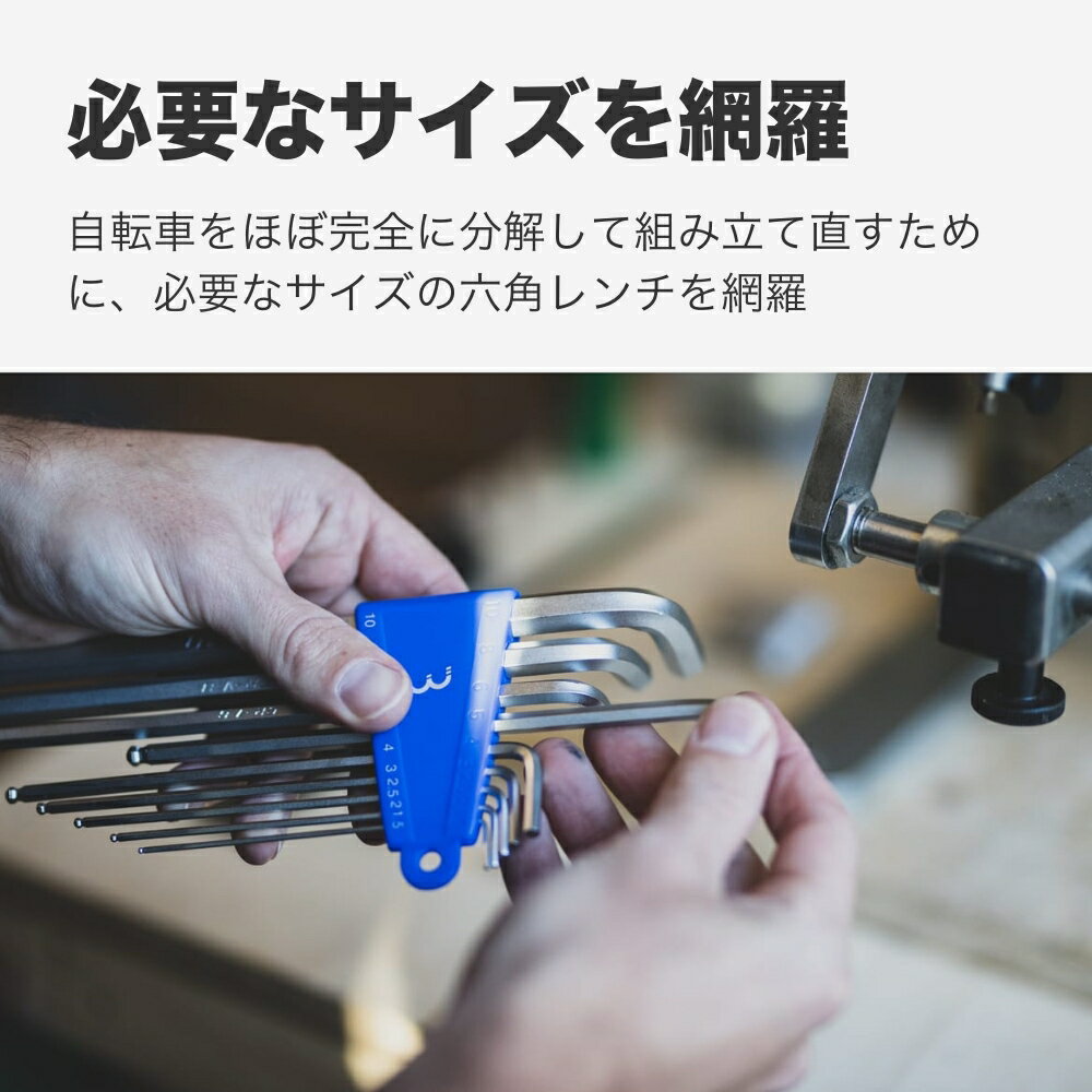 BBB �إ����������å� BTL-118