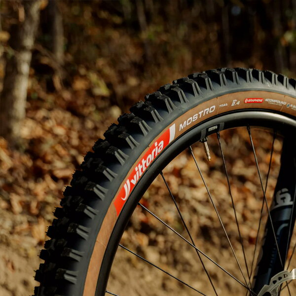 ビットリア Mostro Trail G2.0 TLR チューブレスレディ 27.5×2.6(65-584) オールブ...