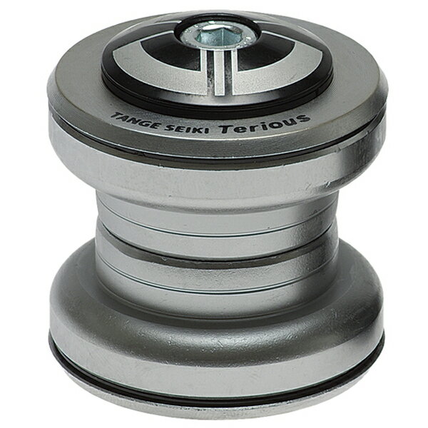 TANGESEIKI TE32TGR(STR) ヘッドセットTE32TGR(STR) は TANGESEIKI のスレッドレス（STR）ヘッドセットです。1インチ(ITA)スレッドレス110g(※カタログ値)スタックハイト:23.6mm(上12.3 下11.3)ハイテンスチール製アルミキャップセット付商品のカラー・サイズについて商品のカラーはディスプレイの種類等により、実物と異なって見える場合がございます。掲載商品の仕様、ロゴ等のデザインは改良のため、変更される場合がございます。また、メーカーが発表していない寸法や個人的なフィット感についてはお答えいたしかねます。あらかじめご了承ください。沖縄県への送料について 沖縄県への発送に送料無料は適用されません。購入金額に関わらず1,650円（税込）が通常送料に別途加算されます。