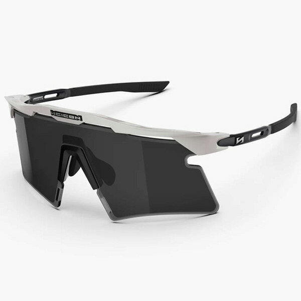 樂天商城 - シーコンスポーツ AEROSHADE 2.0 TITANIUM ホワイトメタルマット/スモーク+ピンク サングラス
