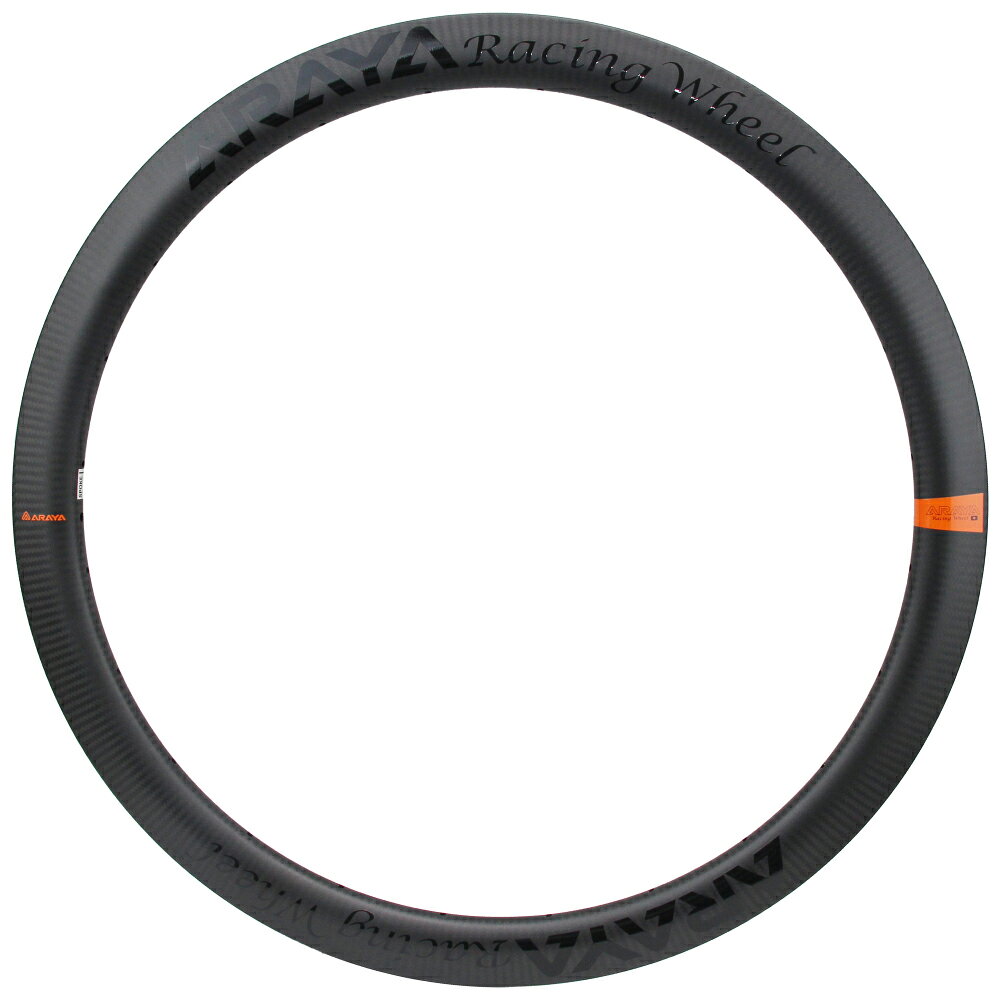 アラヤ 12RM0031TL-R リア チューブレスリムD 24H