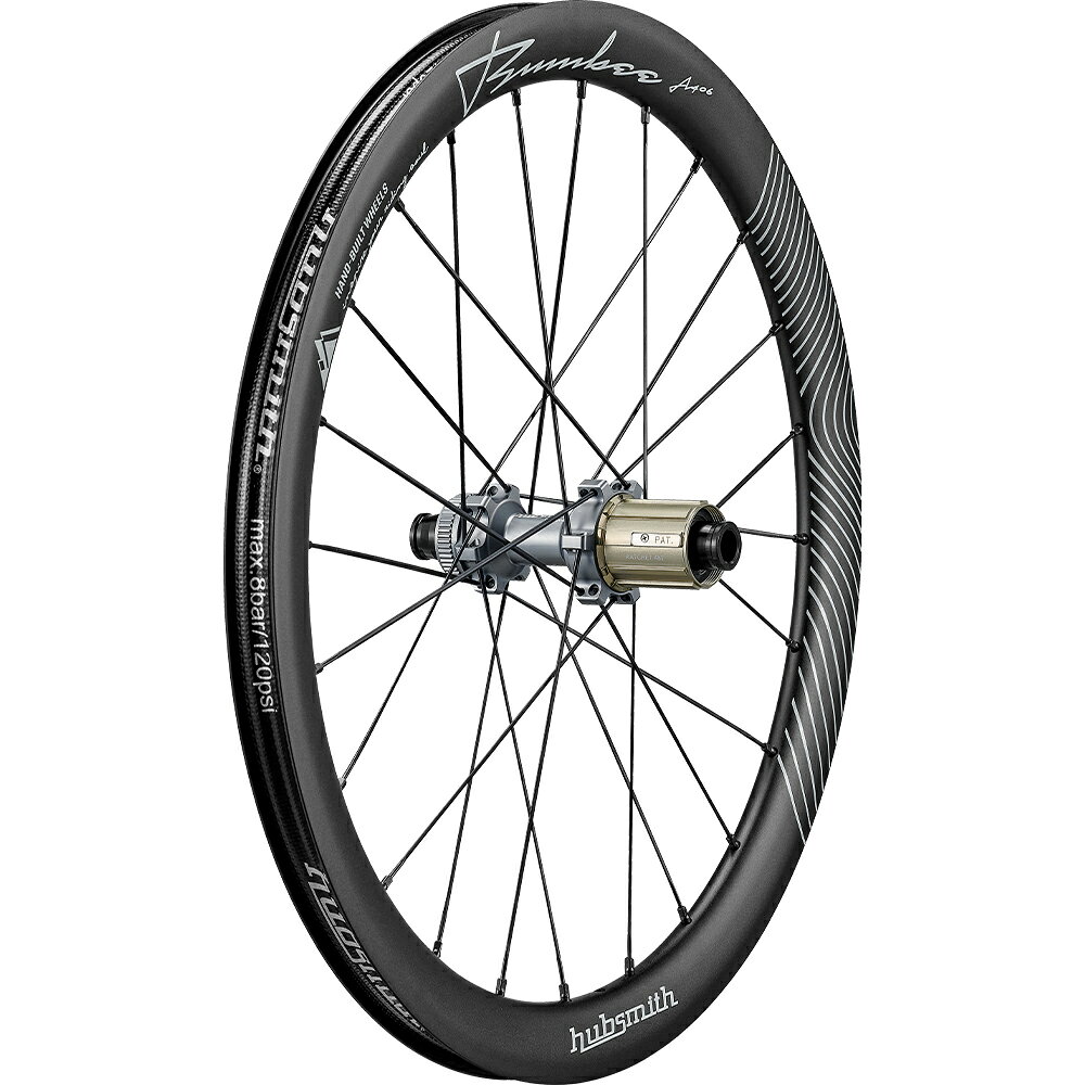 ワールドサイクルのHubsmith HS-Bumbee A406 Ratchet 11SP BROMPTON G LINE用 11速 406 (20インチ) ホイールセット ブラック スチール (ハブスミス)｜アングル3