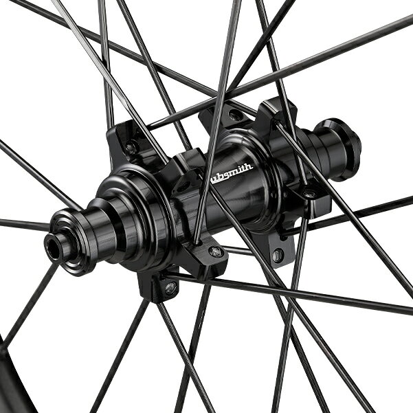 ワールドサイクルのHubsmith HS-Locust A406 Birdy用 11速 406 (20インチ) RB ホイールセット ブラック スチール (ハブスミス)｜アングル2
